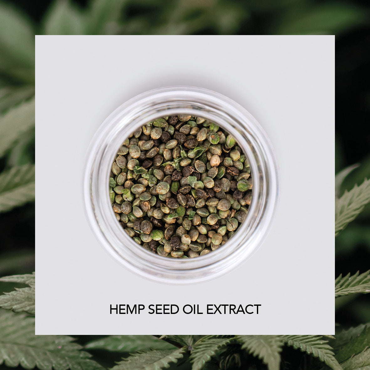 Hemp Hydrating Mask 250ml